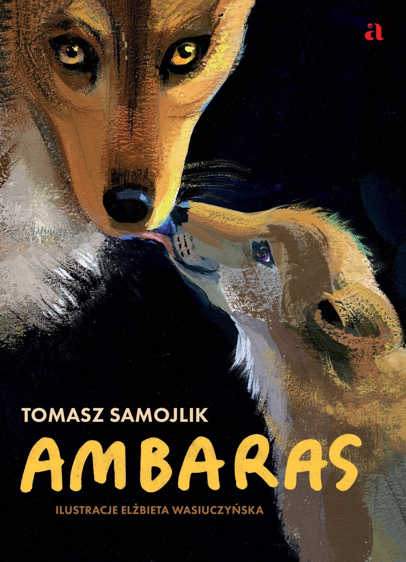 Ambaras