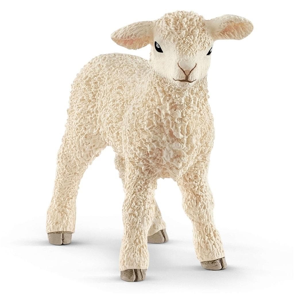 Figurka Mała Owieczka Schleich