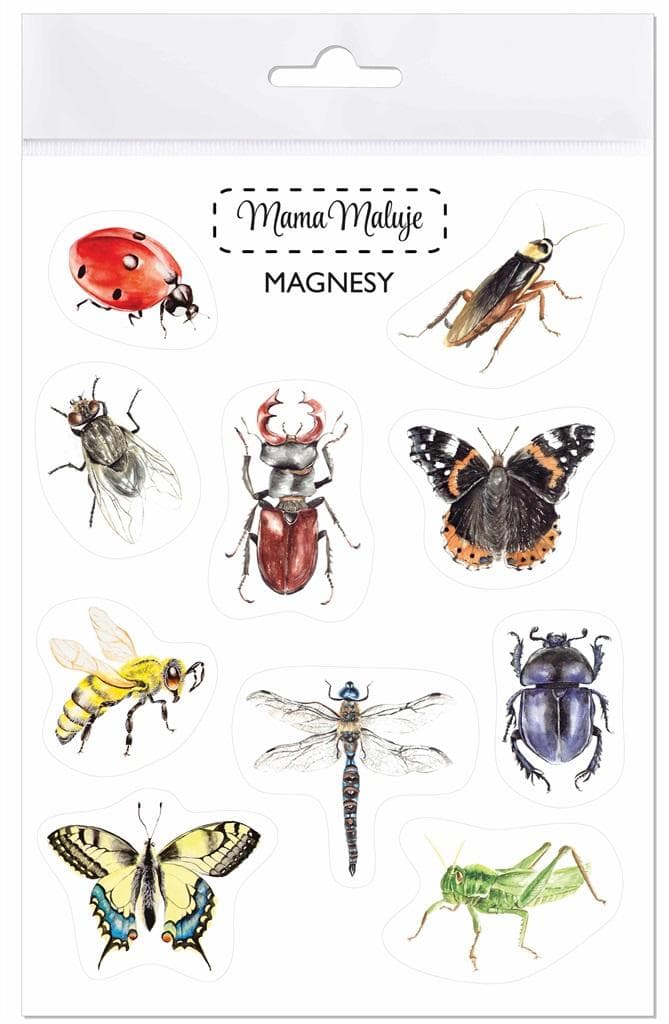 Magnesy Owady edukacyjne dla dzieci