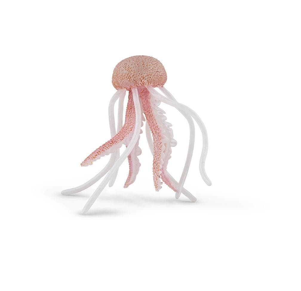 Meduza