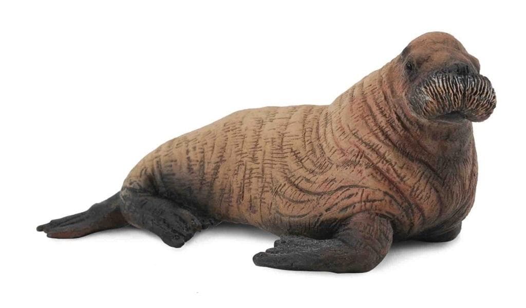 Figurka Młodego Morsa Collecta - realistyczna replika