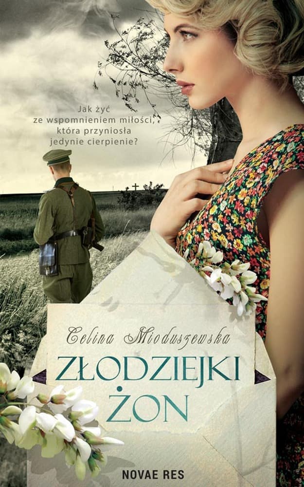 Złodziejki żon - powieść
