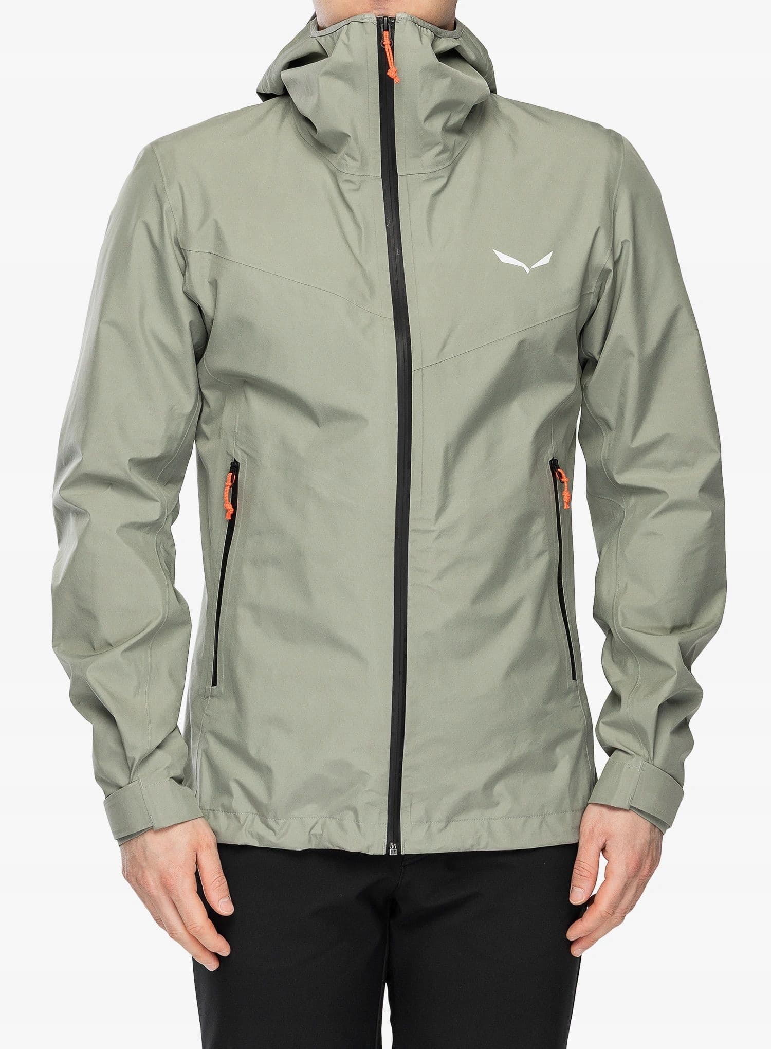 Kurtka narciarska Puez GTX 3L Salewa męska Faded Green