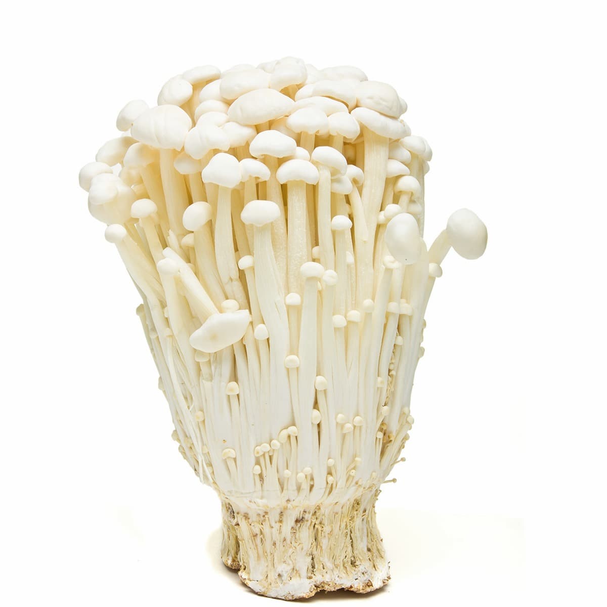 GRZYBY ENOKI 100G