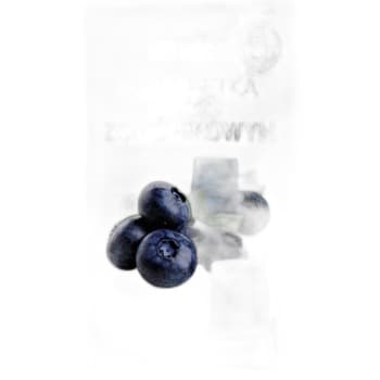 Galaretka borówka emix 75g
