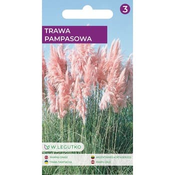 Trawa pampasowa/Cortaderia selloana/-/różowe/ Legutko