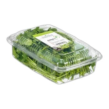 KOLENDRA CIĘTA HISZPANIA 100G BAZIÓŁKA
