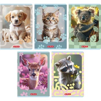 Zeszyt Herlitz standard Animals A5 16 kartek linia podwójna