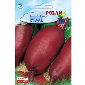 Burak Ćwikłowy Rywal Polan