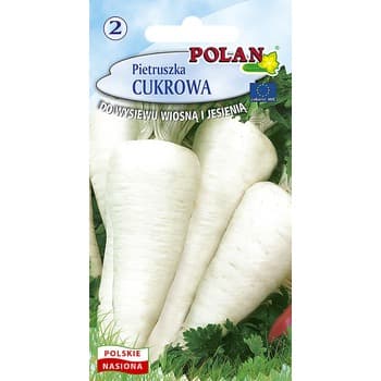 Pietruszka cukrowa Polan