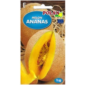 Melon Ananas