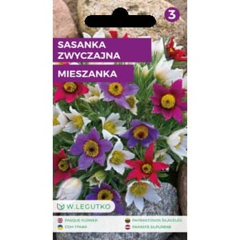 Sasanka zwyczajna/Pulsatilla vulgaris/-/mieszanka/ Legutko