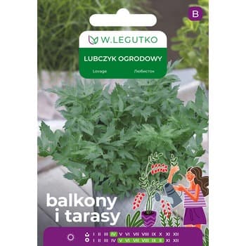 Lubczyk ogrodowy/Levisticum officinale Legutko