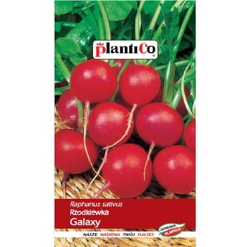 Rzodkiewka Galaxy PlantiCo