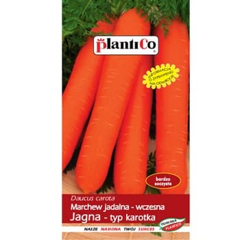 Marchew jadalna Jagna PlantiCo