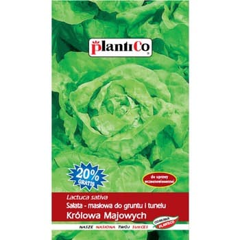 PlantiCo Sałata Królowa Majowych