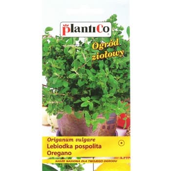 Oregano PlantiCo
