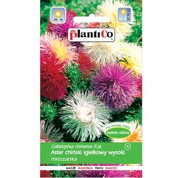 PlantiCo Aster chiński igiełkowy mieszanka