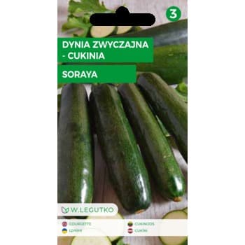 Dynia zwyczajna/Cucurbita pepo/Soraya/zielone/ Legutko