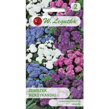 Żeniszek meksykański/Ageratum mexicanum/-/mieszanka/ Legutko