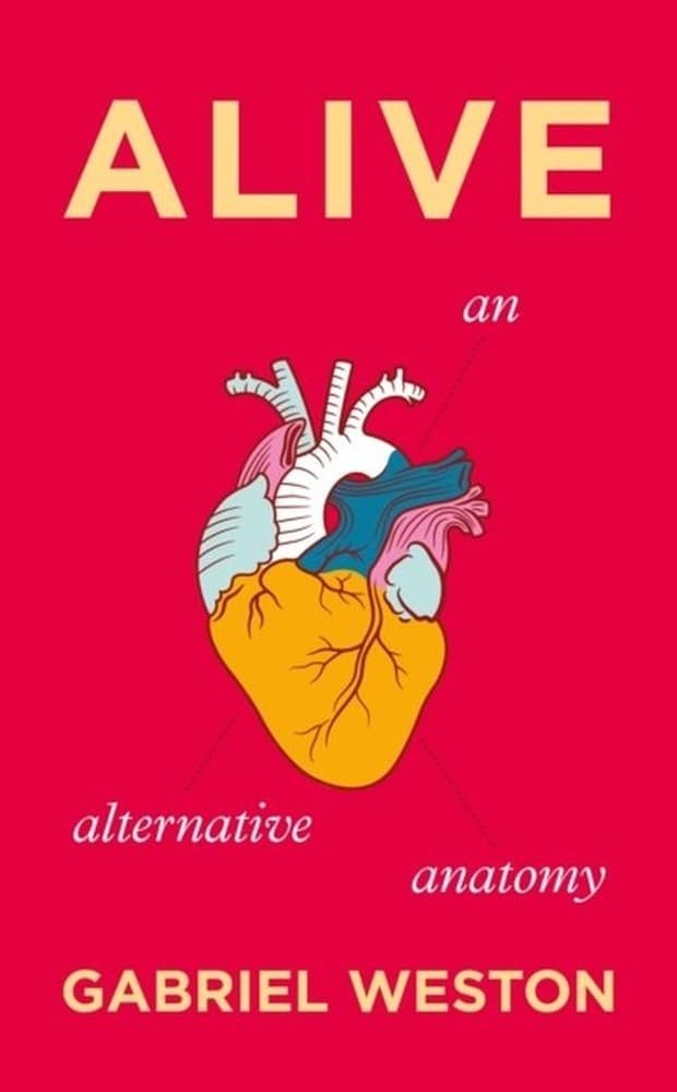 Alive wer. angielska