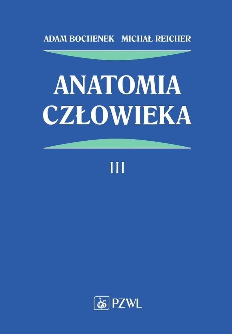 Anatomia człowieka Tom 3 Układ Naczyniowy