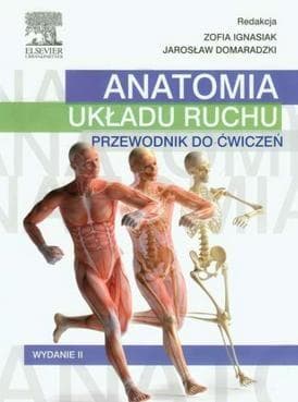 Anatomia układu ruchu przewodnik do ćwiczeń Z. Ignasiak 194 strony