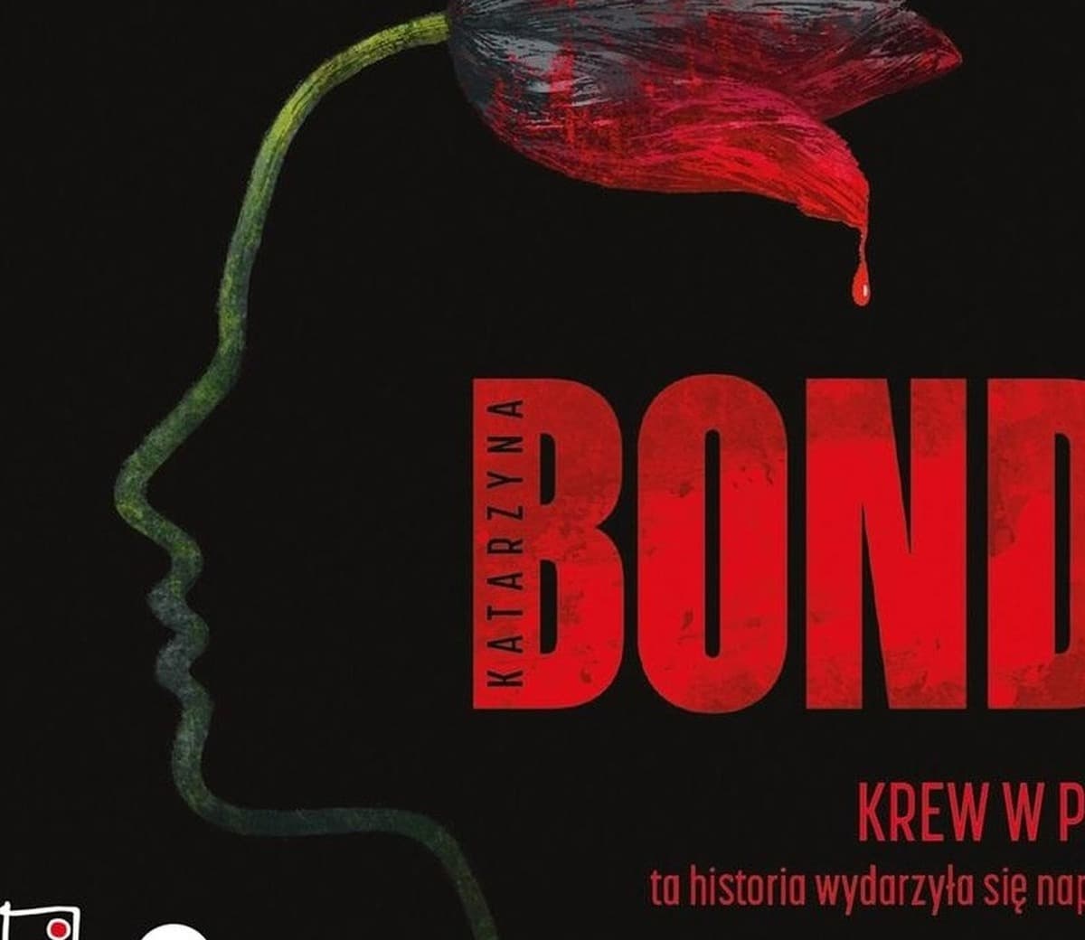 Audiobook Kryminalny Krew w piach - Katarzyna Bonda, Adam Bauman