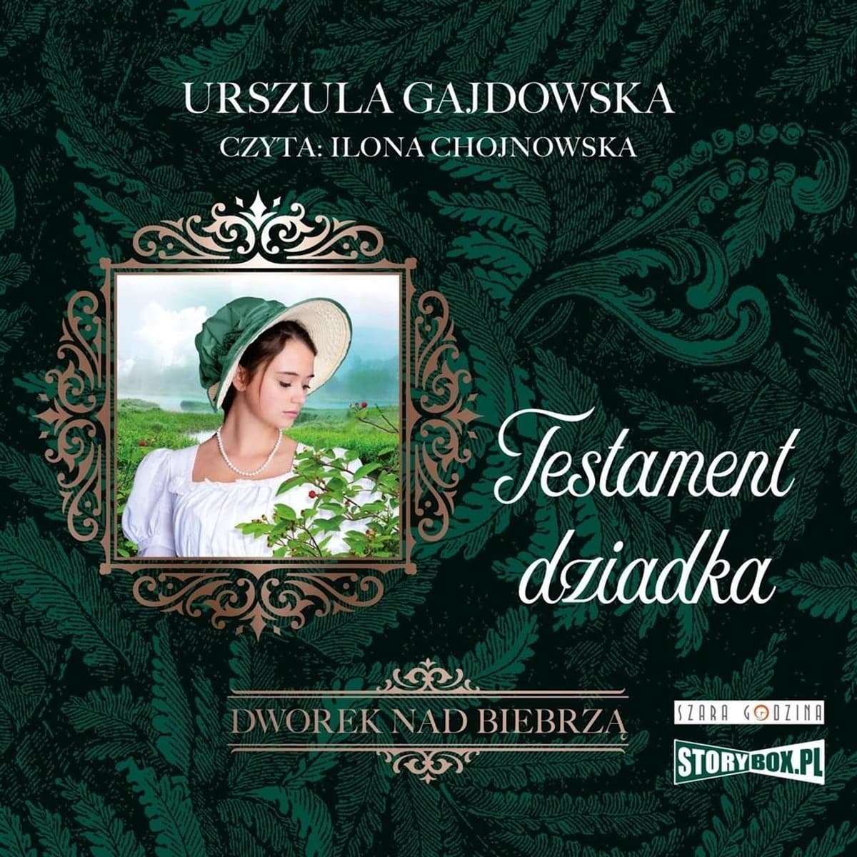 Audiobook Testament dziadka Dworek nad Biebrzą Tom 3 Storybox