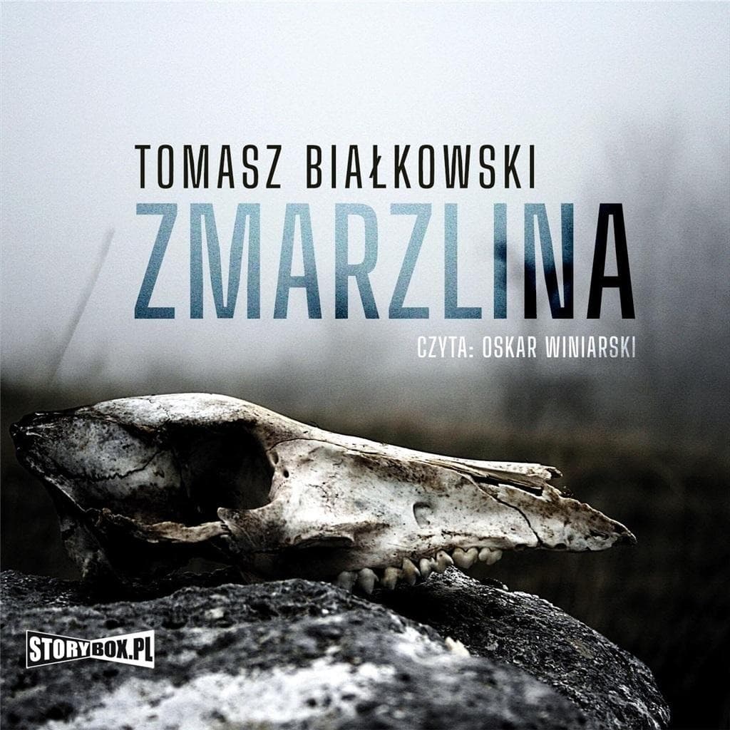 Audiobook Zmarzlina Tomasz Białkowski Storybox