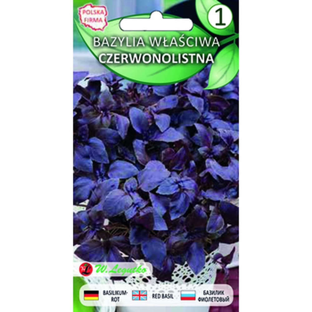 Bazylia właściwa/Ocimum basilicum/-/czerwone/ Legutko