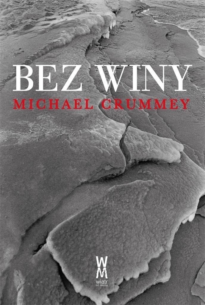 Bez winy - powieść Michaela Crummeya