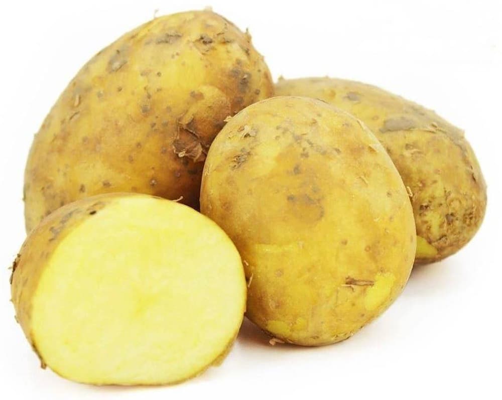 BIO ZIEMNIAK JADALNY ŻÓŁTY POLSKA 1KG FARMA ŚWIĘTOKRZYSKA