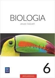 Biologia Klasa 6 Zeszyt Ćwiczeń WSiP