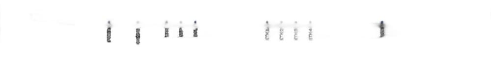 Bramka SD-WAN LANCOM 1800VA (UE) VDSL2/ADSL2+