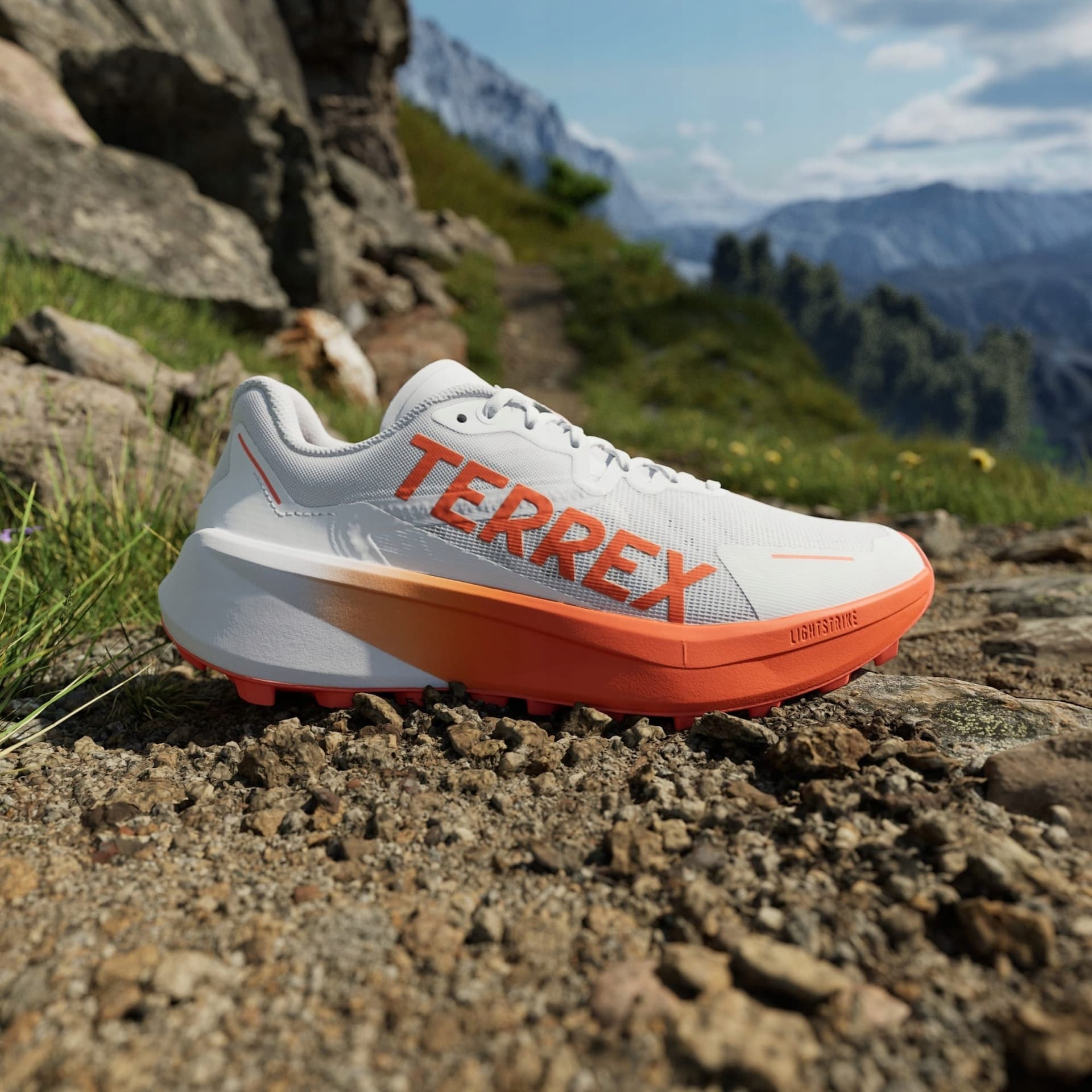 Buty trailowe adidas TERREX Agravic Speed - dshgry/impora/ftwwht