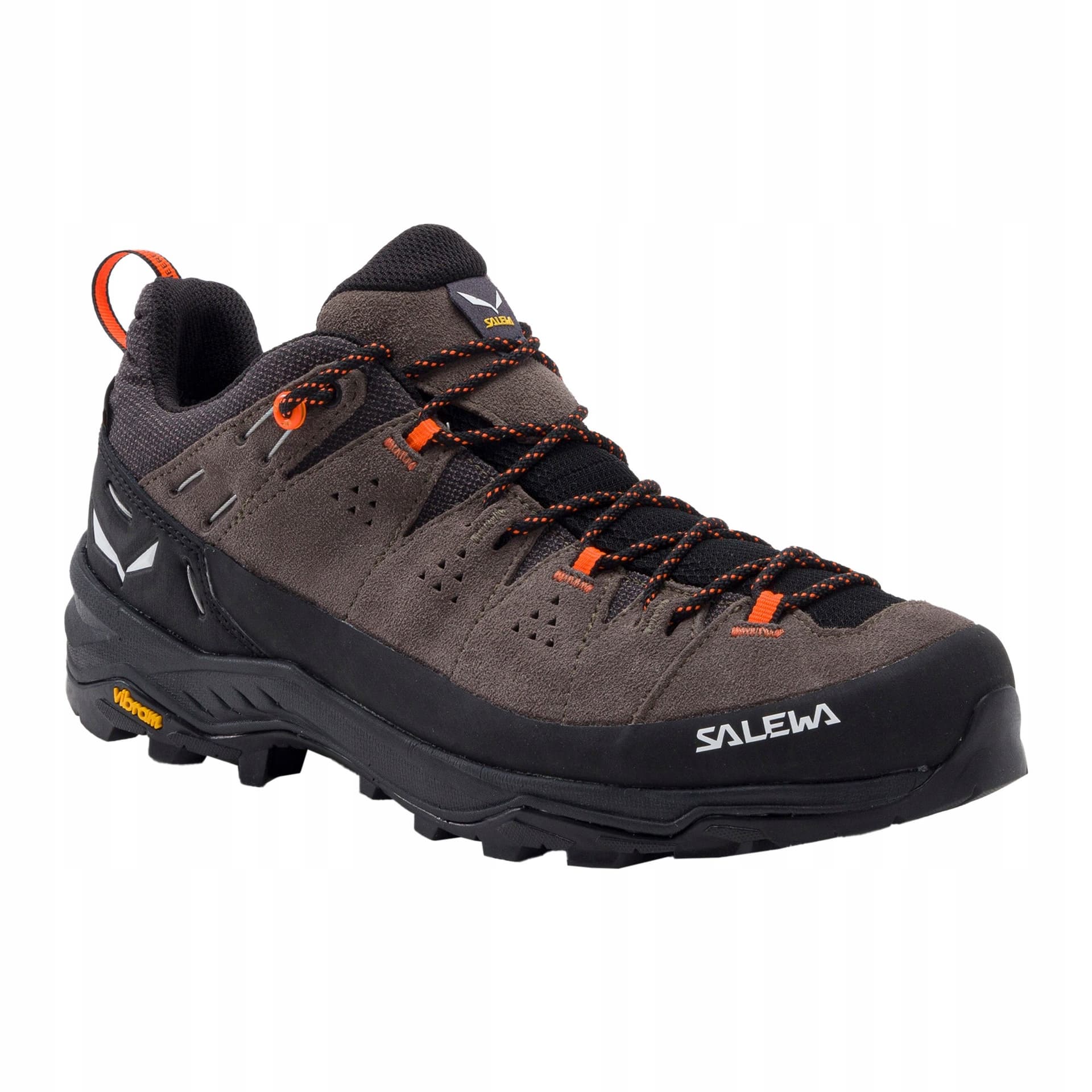 Buty trekkingowe Salewa Alp Trainer 2 GTX bungee cord/black UK 8,5 (42,5)