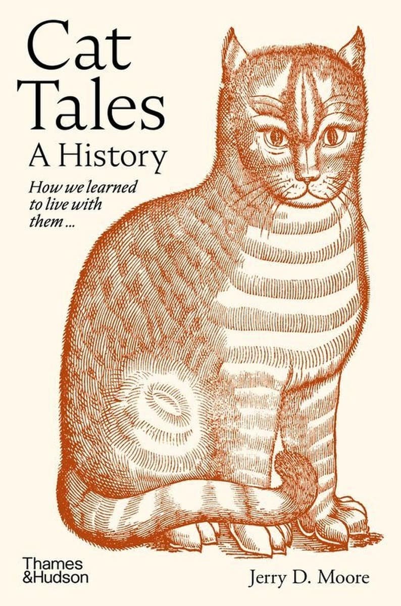 Cat Tales wer. angielska