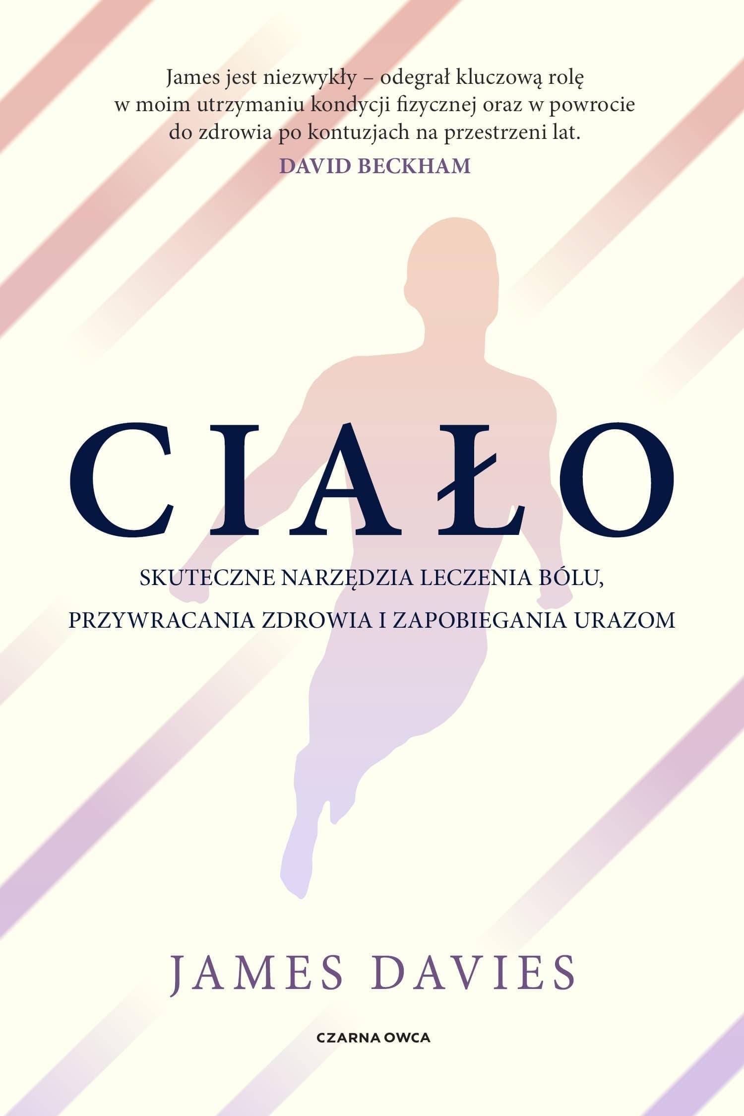 Ciało Narzędzia Leczenia Bólu i Zdrowia