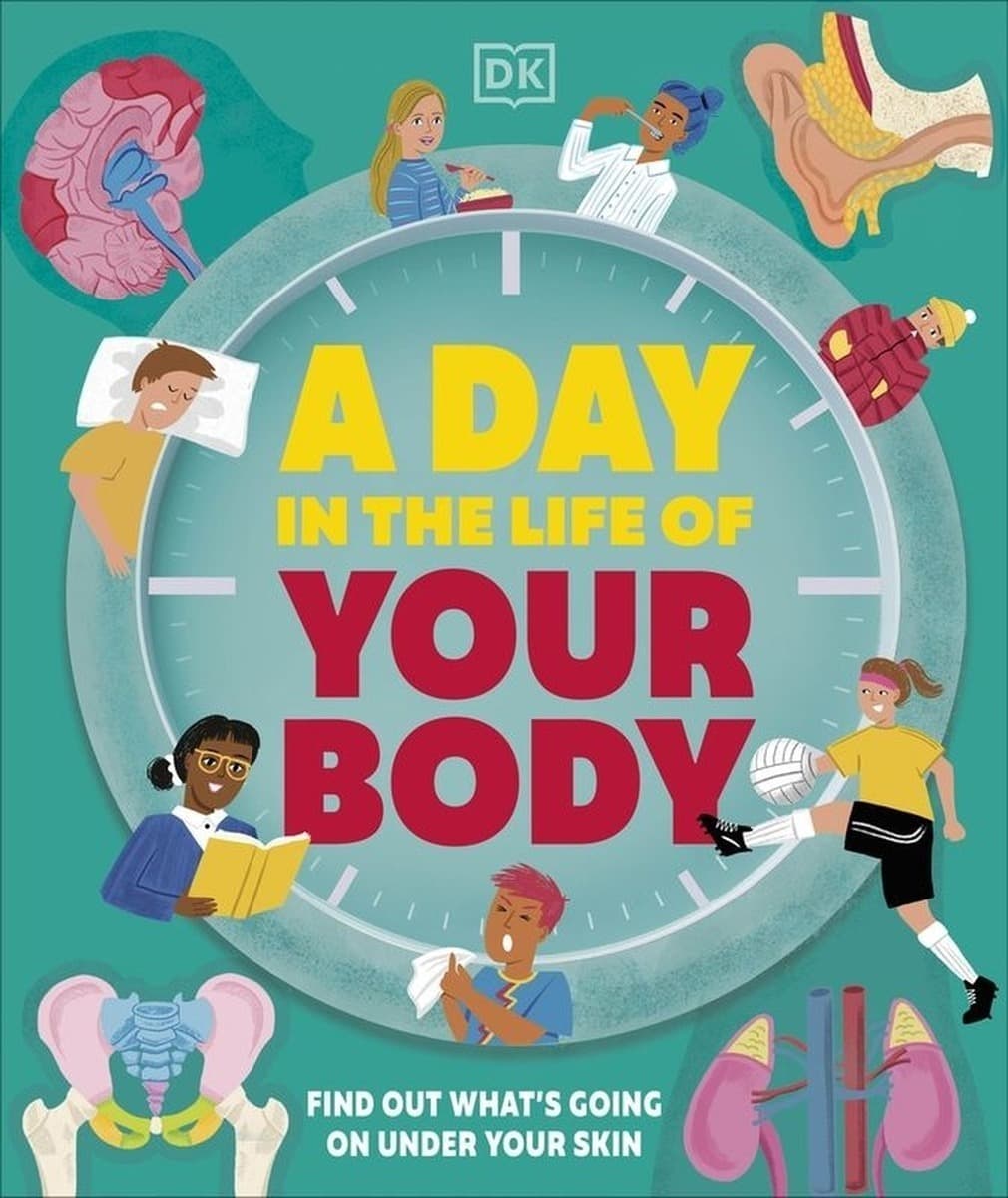 Day in the Life of Your Body. wer. angielska