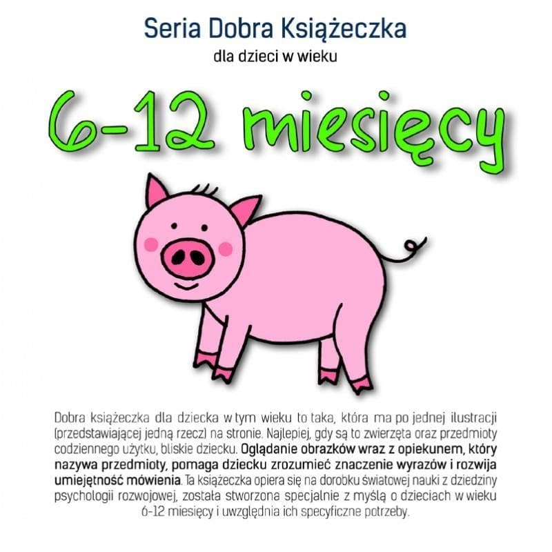 Książeczka edukacyjna dla dzieci 6-12 miesięcy