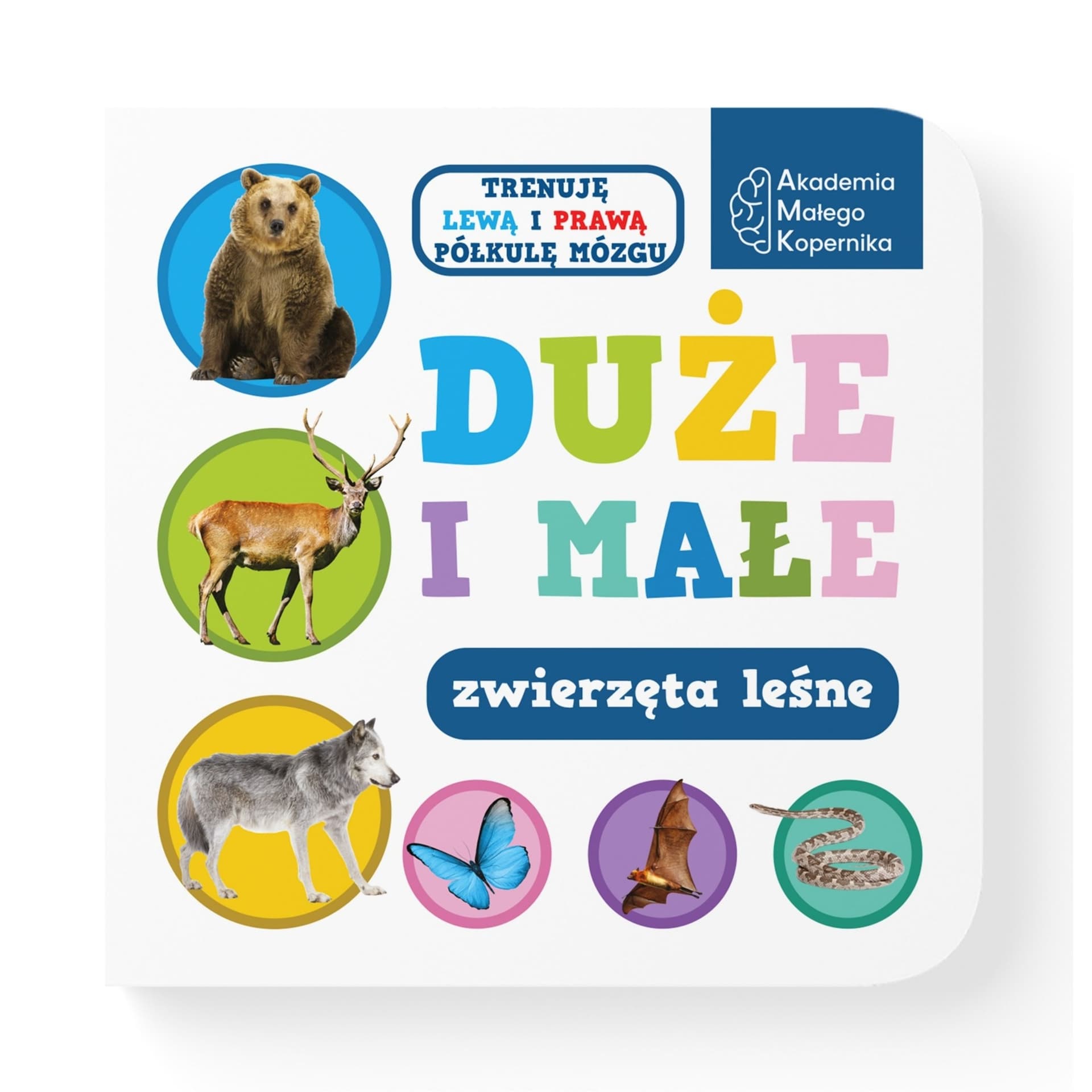 Duże i małe. Zwierzęta leśne