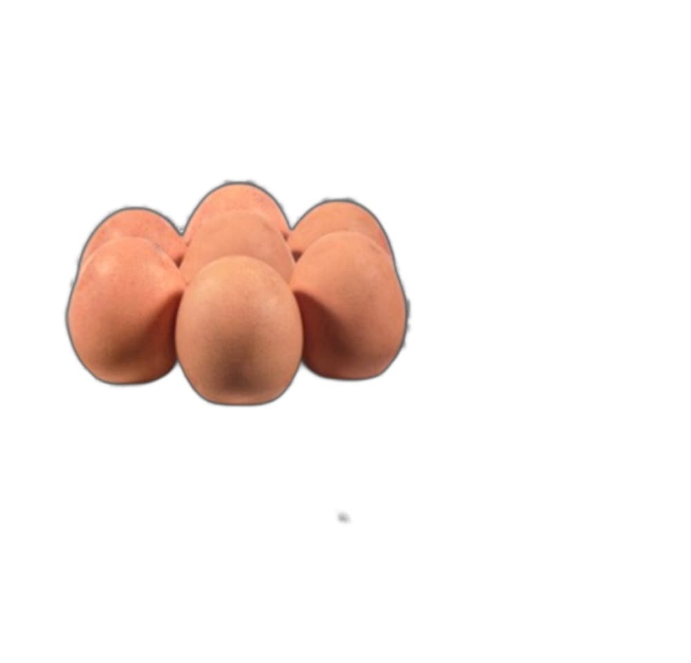 Esperanza Jajowar Elektryczny EGG MASTER EKE001