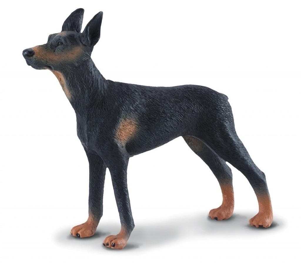 Figurka psa rasy doberman Collecta