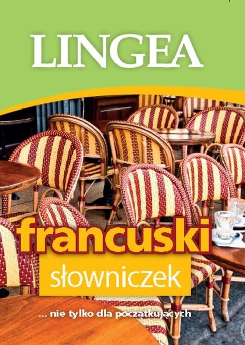Francuski słowniczek Lingea rozmówki i gramatyka