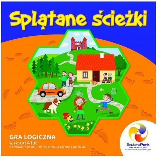 Gra logiczna Splątane ścieżki ExploraPark