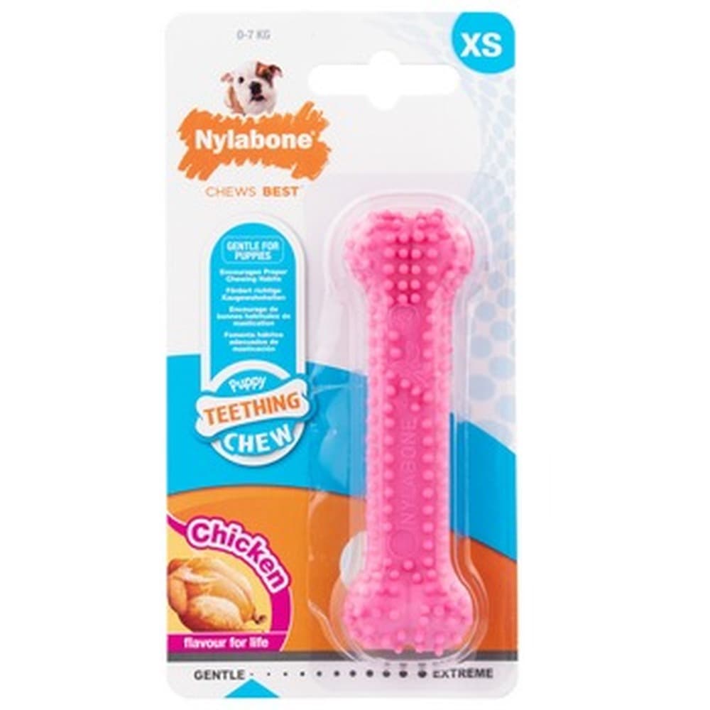 Gryzak dla szczeniąt Nylabone Dental z kurczakiem