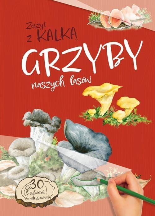 Zeszyt Edukacyjny z Kalką Grzyby Naszych Lasów Wydanie 2025