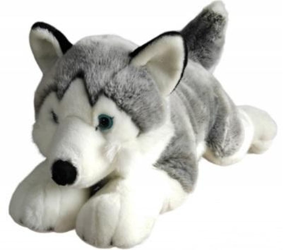 Husky pies pluszowy 62 cm