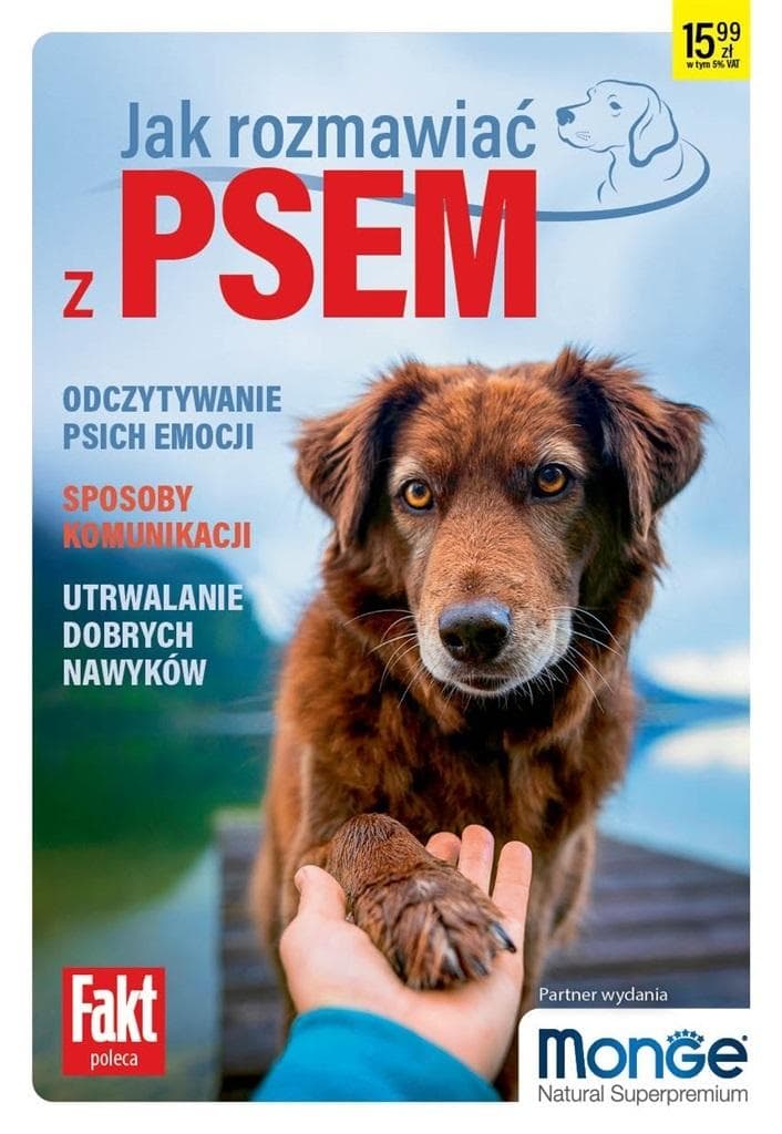 Jak rozmawiać z psem - poradnik dla właścicieli